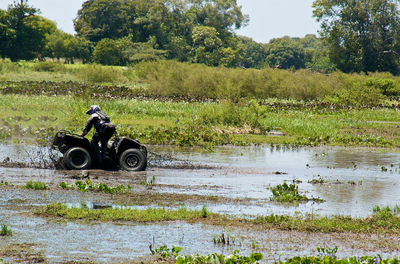 Horse cart on field by lake