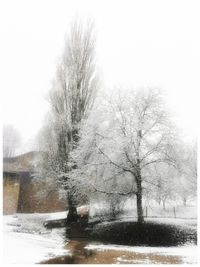 Bare trees on snow covered landscape against sky