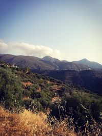 Scenic view of landscape and mountains against sky