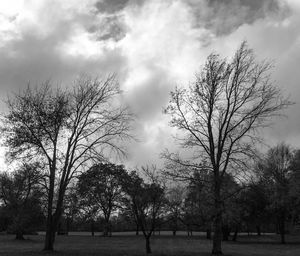 Bare trees on landscape against cloudy sky