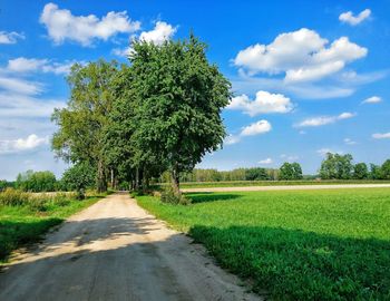 Road amidst agricultural field against sky