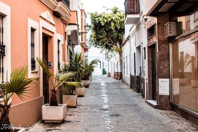 Street amidst houses in city