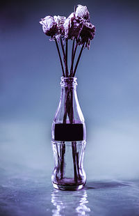 Close-up of purple flower in glass vase on table