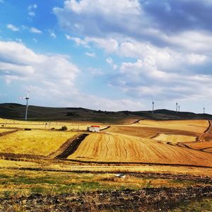 Scenic view of field against sky