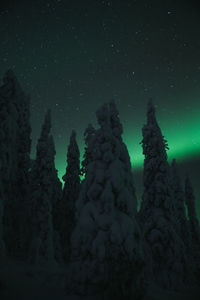 Low angle view of people at night