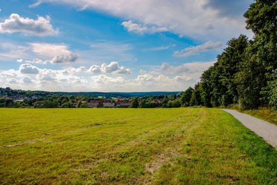 Scenic view of field against sky