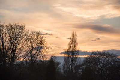 Silhouette bare trees against sky during sunset