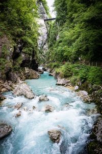 River flowing through rocks in forest