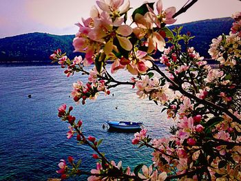 View of a boat in sea