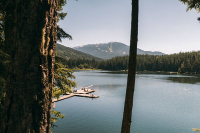 The lost lake, whistler, bc, canada. this photo was taken in july 2022.