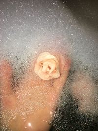 Cropped hand holding rose in bathtub