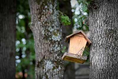 Close-up of wooden birdhouse on tree trunk