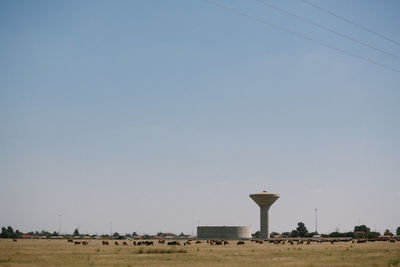 Scenic view of field against clear sky