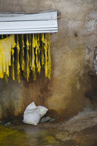 Close-up of drying outdoors