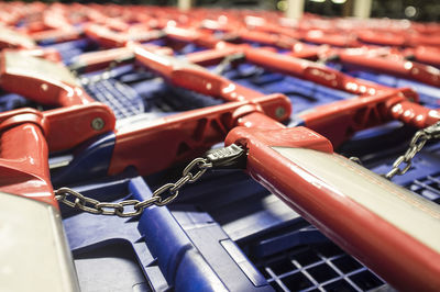 Blue-red shopping carts on a parking