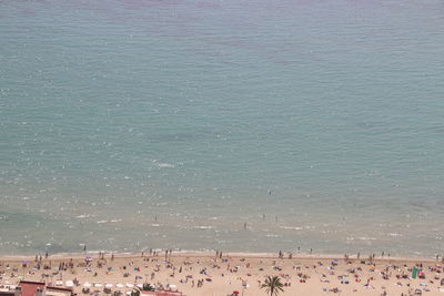 High angle view of people on beach