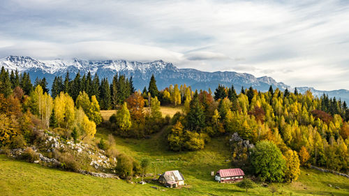 Scenic view of trees and mountains against sky