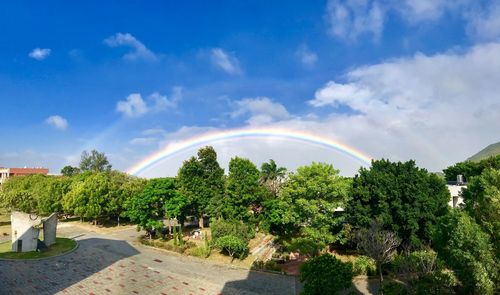 Scenic view of rainbow over trees against sky