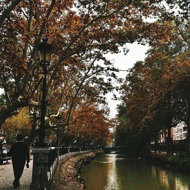 tree, water, built structure, architecture, branch, building exterior, street light, reflection, river, nature, growth, tranquility, park - man made space, bridge - man made structure, canal, waterfront, autumn, beauty in nature, railing, connection