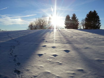 View of snow covered landscape