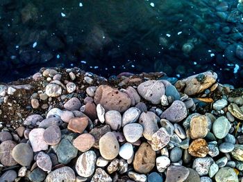 Stones in a sea