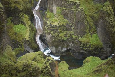 Scenic view of waterfall in forest