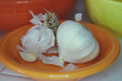 Close-up of bread in plate