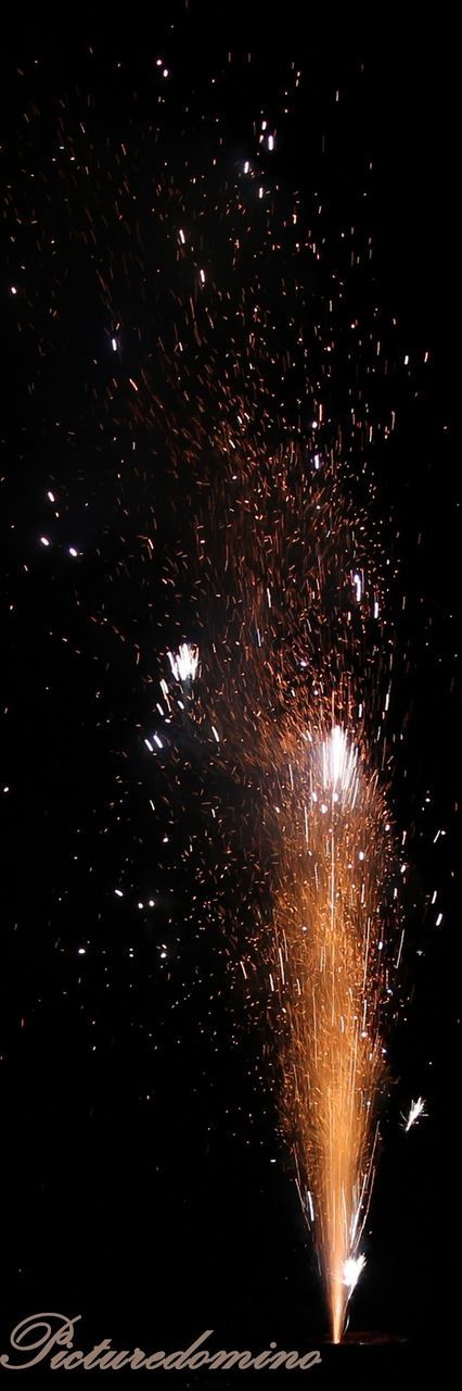 night, illuminated, low angle view, glowing, dark, star - space, sky, astronomy, light - natural phenomenon, star field, star, scenics, long exposure, outdoors, no people, beauty in nature, moon, nature, tree, firework display