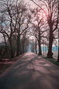 Empty road amidst bare trees in park