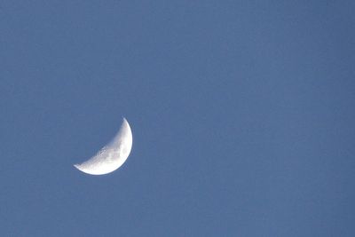 Low angle view of half moon against clear sky at night