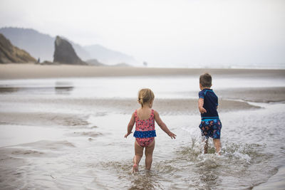 Rear view of children on beach