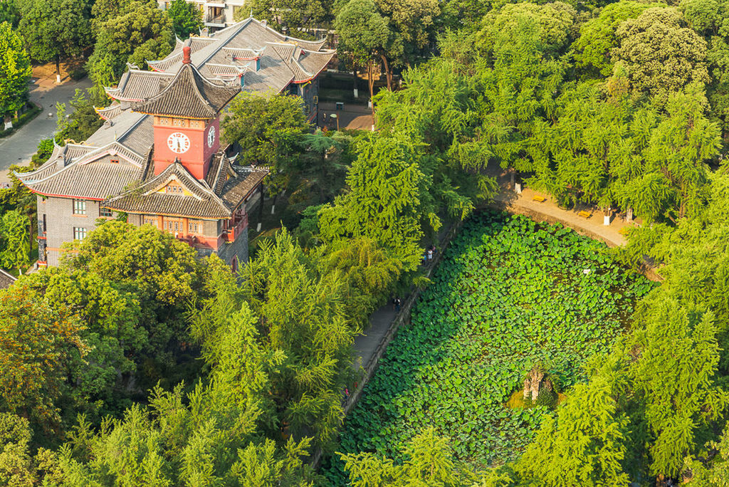 tree, architecture, built structure, house, green color, building exterior, high angle view, lush foliage, growth, plant, no people, tranquility, beauty in nature, roof, outdoors, nature, scenics, tranquil scene, day, agriculture, mountain, landscape