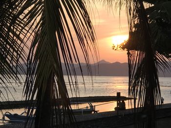 Silhouette palm trees by sea against sky during sunset