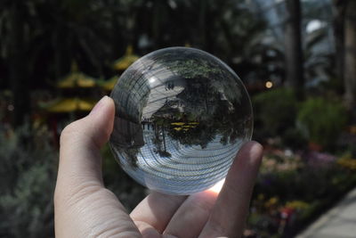 Close-up of human hand holding crystal ball