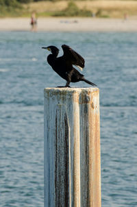 Close-up of wooden post in the lake