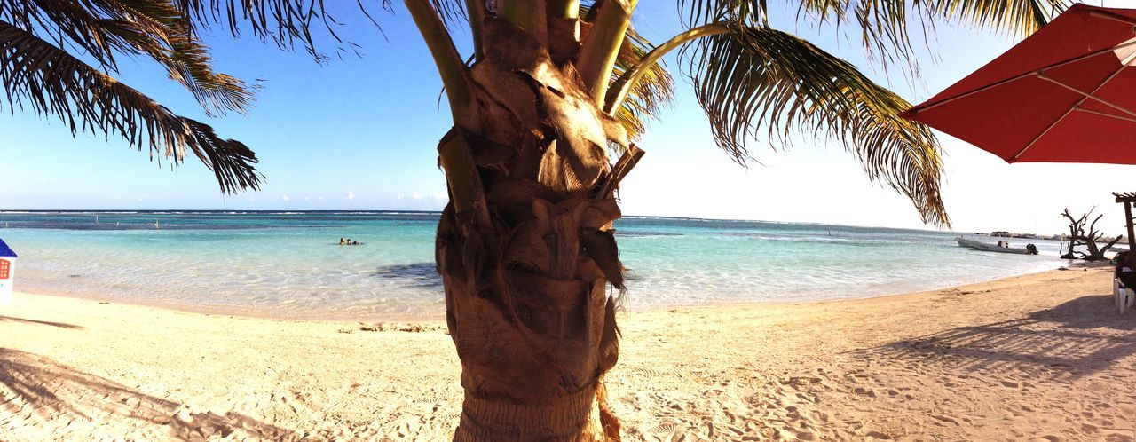 sea, beach, horizon over water, water, sky, sand, nature, tranquility, outdoors, day, beauty in nature, scenics, palm tree, tree, no people