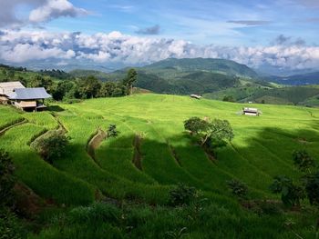 Scenic view of agricultural field against sky