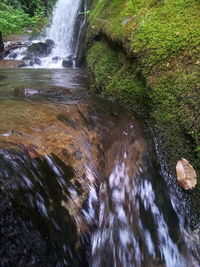 Stream flowing through rocks in forest