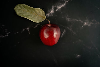 Close-up of apple on plant against black background