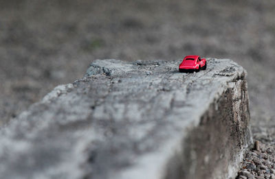 Close-up of ladybug on rock