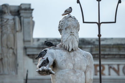 Close-up of birds perching on famous neptune statue and fountain