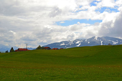 Scenic view of field against sky