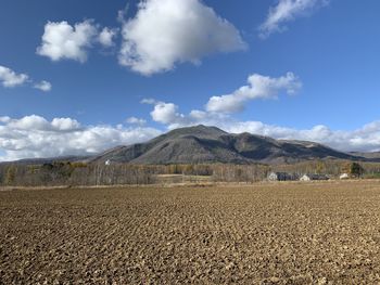 Scenic view of field against sky