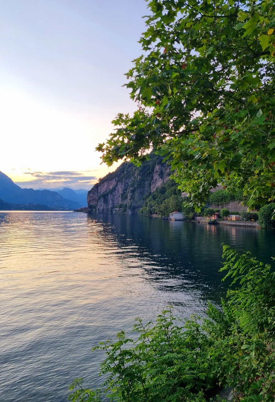 SCENIC VIEW OF LAKE BY TREE AGAINST SKY