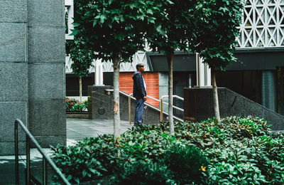 Potted plants in yard against building