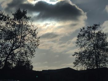 Low angle view of silhouette trees against sky