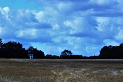 Trees on field against sky