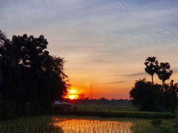 Silhouette trees on field against sky during sunset