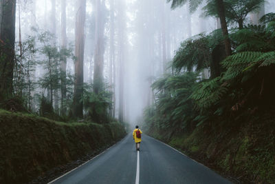 Rear view of traveler walking on road in foggy forest