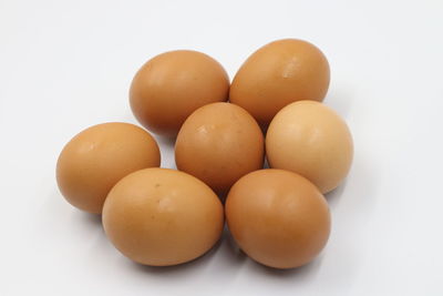 High angle view of eggs against white background